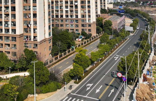 10条精品街道绿化工程全面上新，城市面貌焕然一新