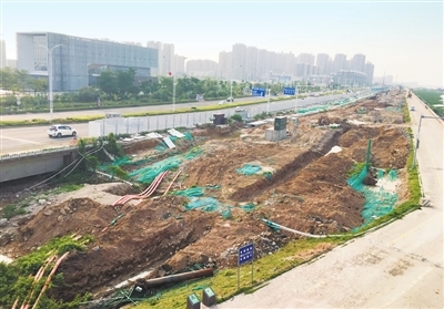 金湾“情侣路”绿化工程加速推进，航展前有望“迎客”