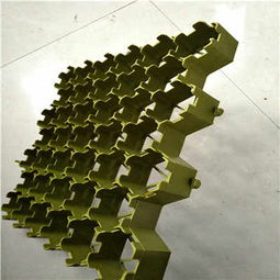 清远塑料植草格厂家 以专业品质，助力绿色生态建设