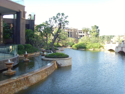 园林绿化工程 从设计到施工，赋能房地产、别墅与工厂景观