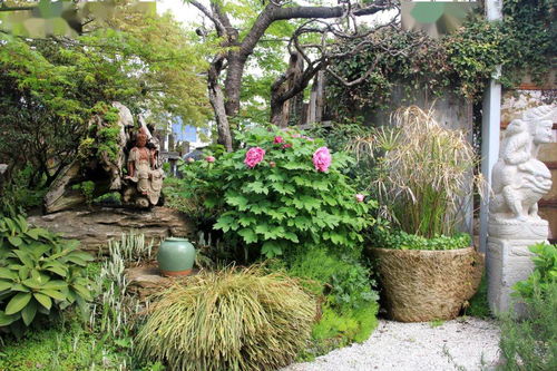 绿化工程苗木价格算法详解