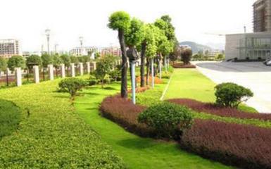 论绿化工程领域施工现状与改进措施